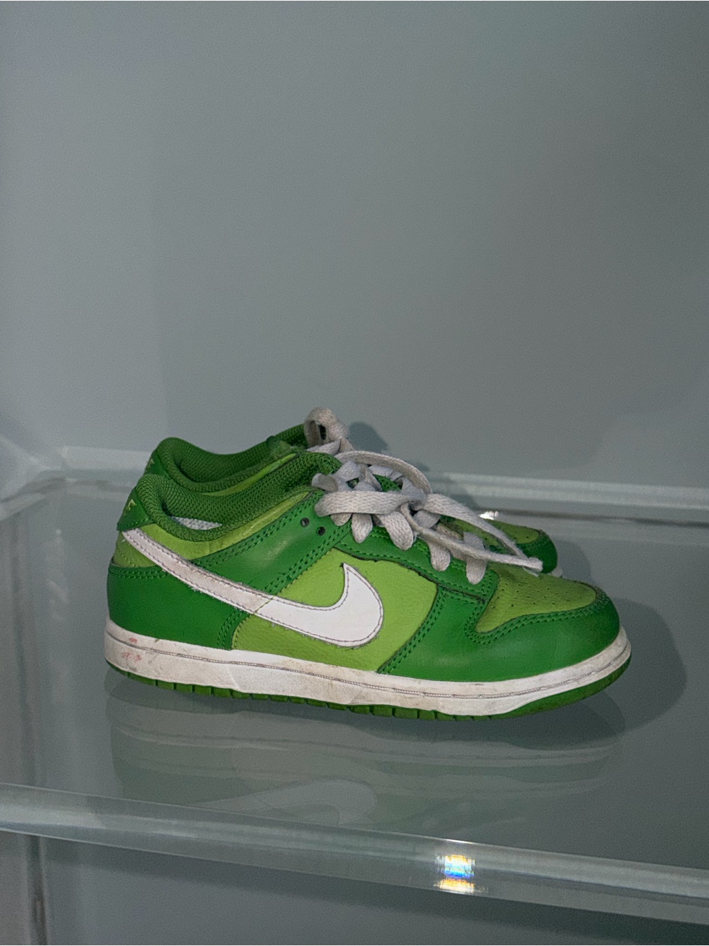 Nike Kids Green Low-Top Sneakers With White Swoosh
